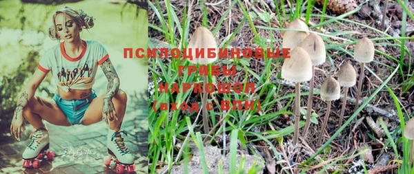 не бодяженный Каменск-Шахтинский