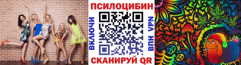 кракен вход  Щёлково  Галлюциногенные грибы Magic Shrooms 